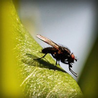 /album/poznavania-prirody/photolia-a04-jpg/