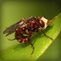 /album/poznavania-prirody/photolia-a06-jpg/